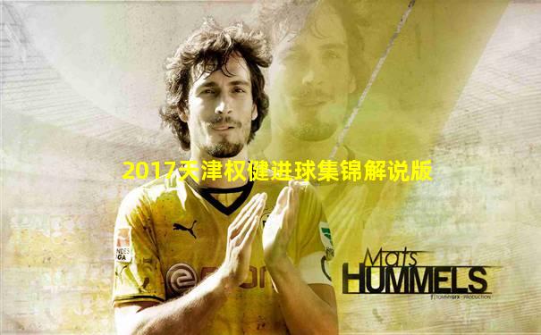 2017天津权健进球集锦解说版