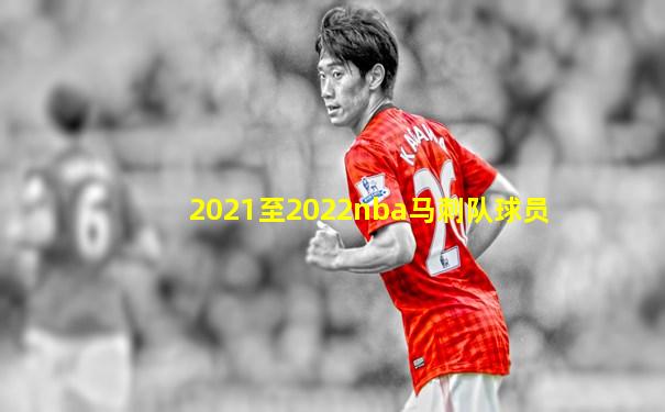 2021至2022nba马刺队球员