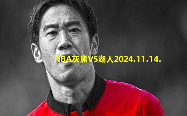 NBA灰熊VS湖人2024.11.14.