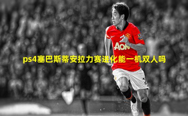 ps4塞巴斯蒂安拉力赛进化能一机双人吗