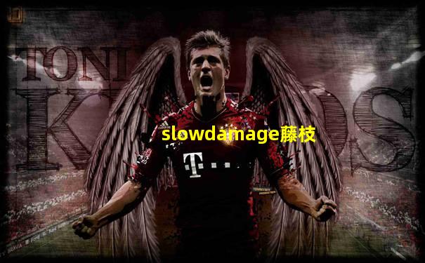 slowdamage藤枝
