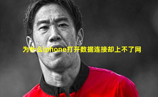 为什么iphone打开数据连接却上不了网