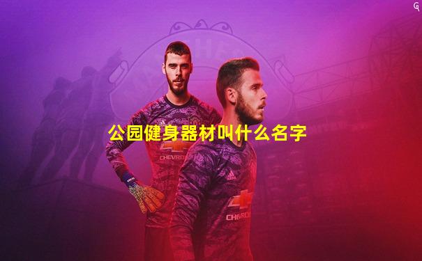 公园健身器材叫什么名字