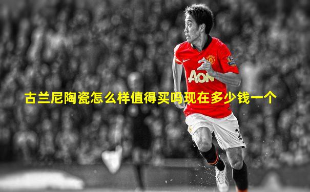 古兰尼陶瓷怎么样值得买吗现在多少钱一个