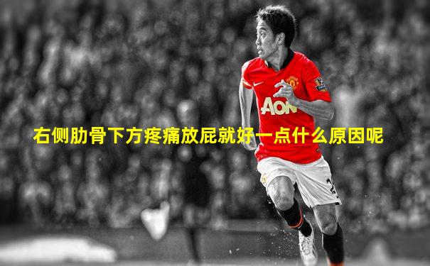 右侧肋骨下方疼痛放屁就好一点什么原因呢