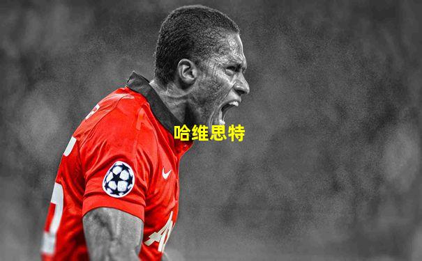 哈维思特