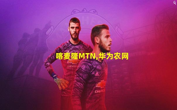 喀麦隆MTN,华为农网