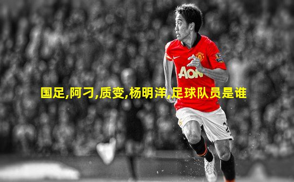 国足,阿刁,质变,杨明洋,足球队员是谁