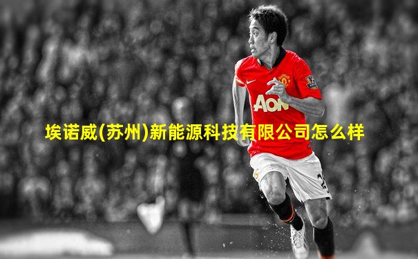 埃诺威(苏州)新能源科技有限公司怎么样