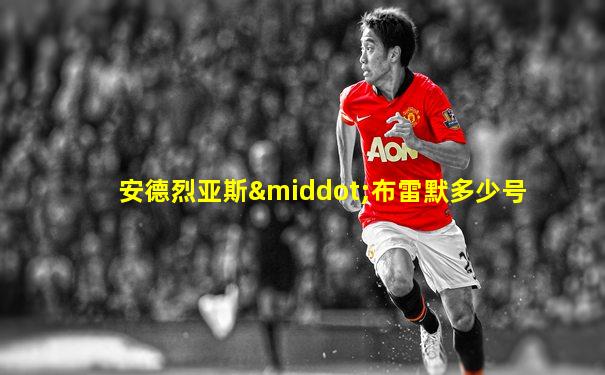 安德烈亚斯·布雷默多少号