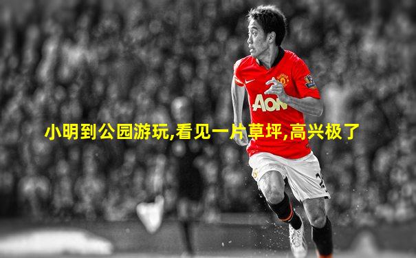 小明到公园游玩,看见一片草坪,高兴极了