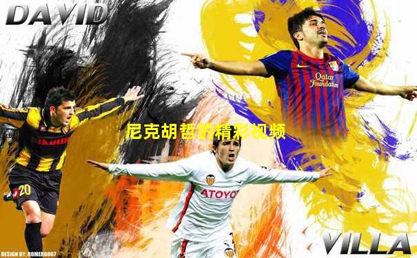 尼克胡哲的精彩视频