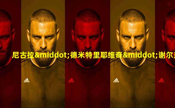 尼古拉·德米特里耶维奇·谢尔盖耶夫