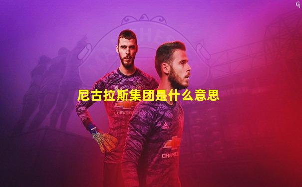 尼古拉斯集团是什么意思