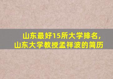 山东最好15所大学排名,山东大学教授孟祥波的简历