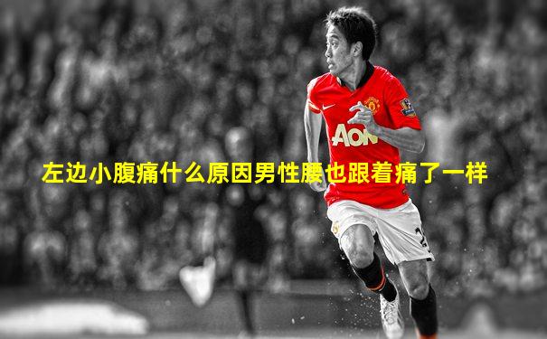 左边小腹痛什么原因男性腰也跟着痛了一样