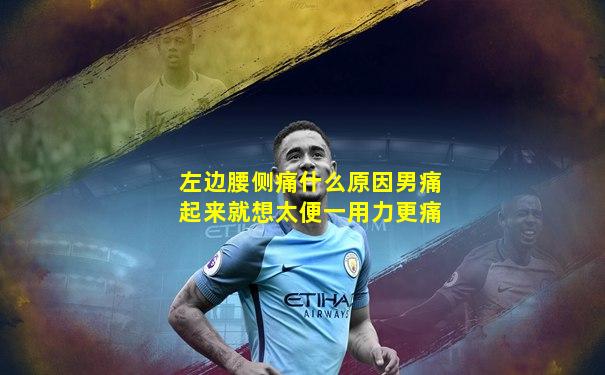 左边腰侧痛什么原因男痛起来就想太便一用力更痛