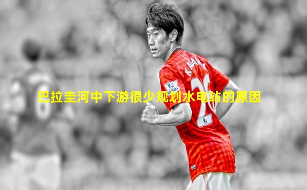 巴拉圭河中下游很少规划水电站的原因