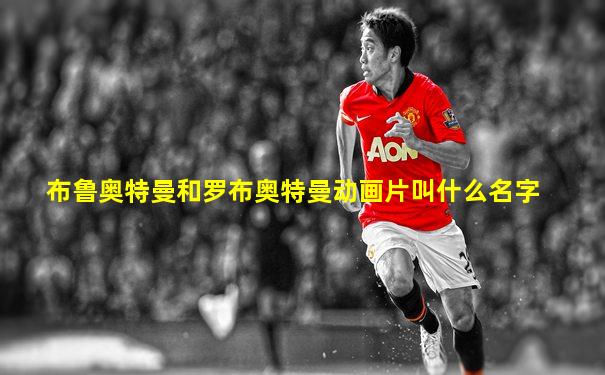布鲁奥特曼和罗布奥特曼动画片叫什么名字