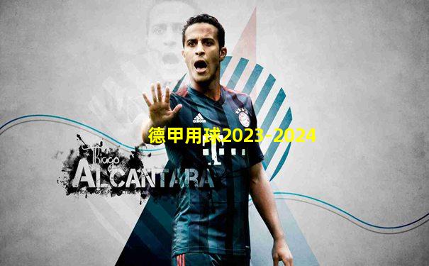 德甲用球2023-2024