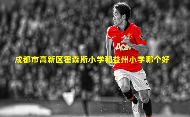 成都市高新区霍森斯小学和益州小学哪个好