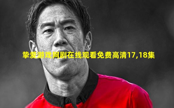 挚爱游戏网剧在线观看免费高清17,18集