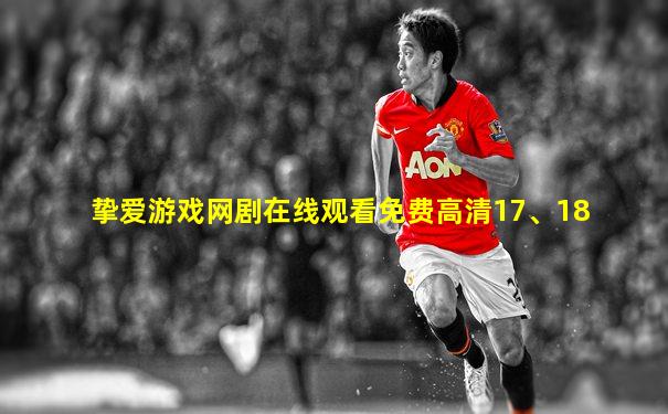 挚爱游戏网剧在线观看免费高清17、18