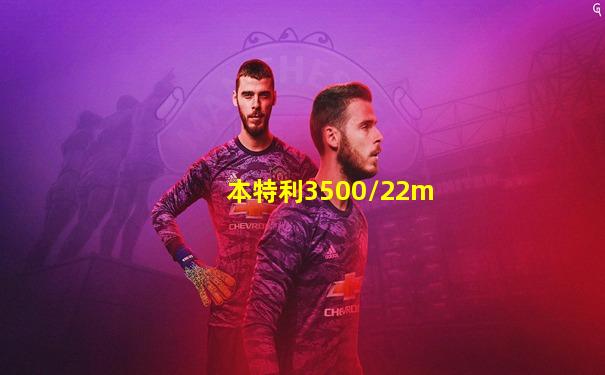 本特利3500/22m
