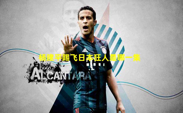 杨建平踢飞日本狂人是哪一集