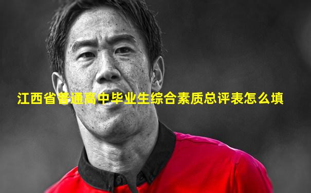 江西省普通高中毕业生综合素质总评表怎么填