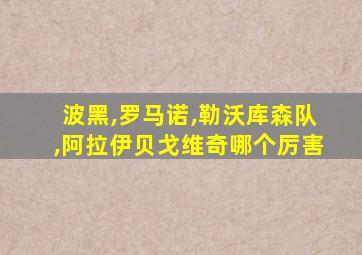 波黑,罗马诺,勒沃库森队,阿拉伊贝戈维奇哪个厉害