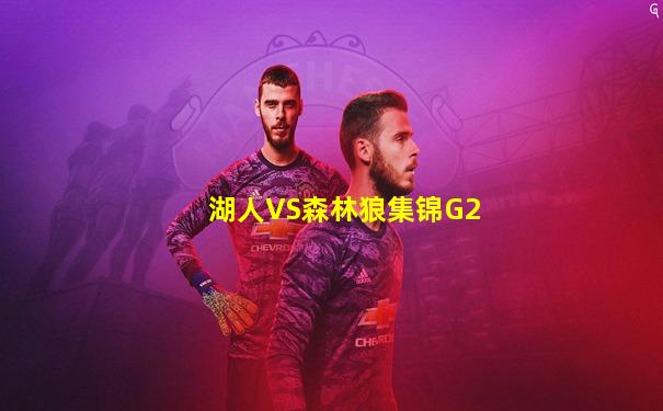 湖人VS森林狼集锦G2