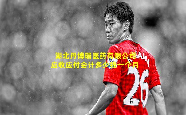 湖北丹博瑞医药有限公司应收应付会计多少钱一个月