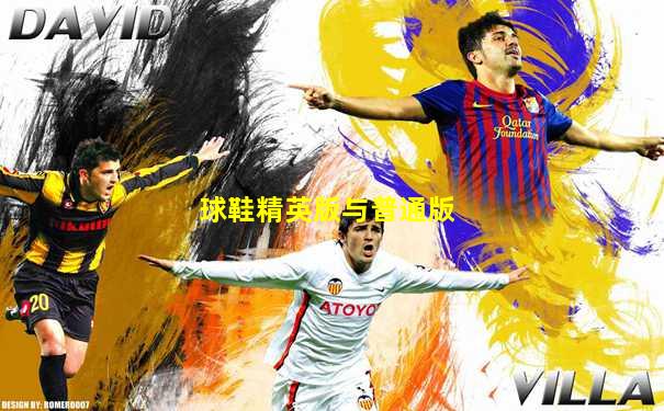 球鞋精英版与普通版