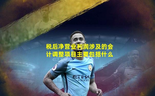 税后净营业利润涉及的会计调整项目主要包括什么
