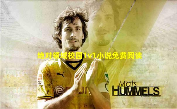 绝对领域校园1v1小说免费阅读