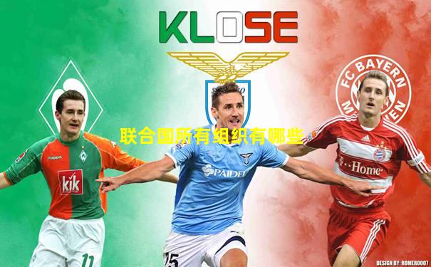 联合国所有组织有哪些