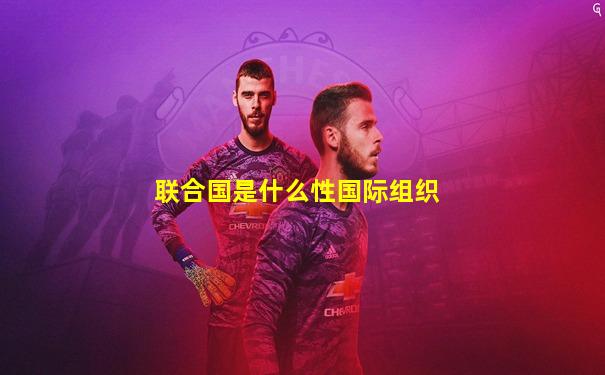 联合国是什么性国际组织