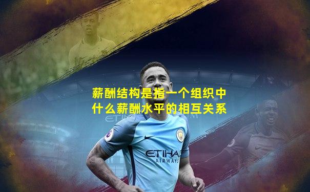 薪酬结构是指一个组织中什么薪酬水平的相互关系