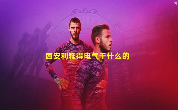 西安利雅得电气干什么的