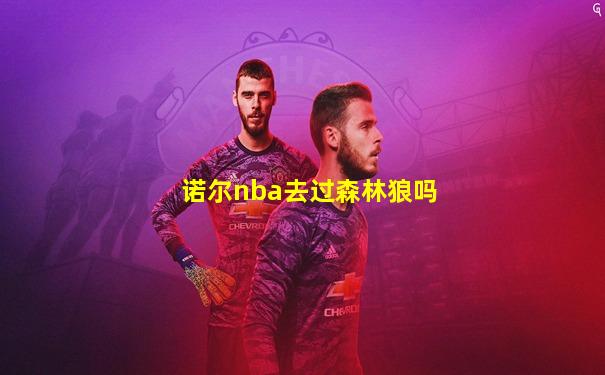 诺尔nba去过森林狼吗