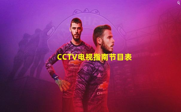 CCTV电视指南节目表