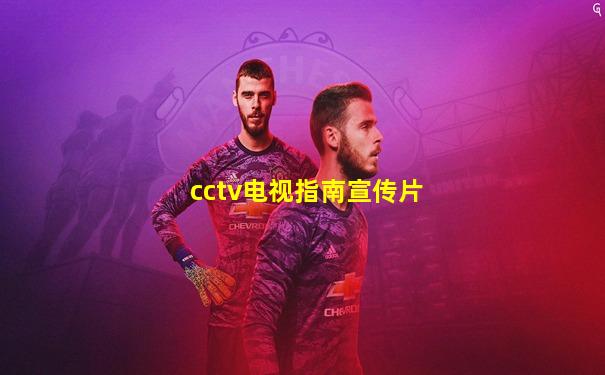 cctv电视指南宣传片