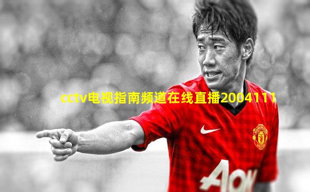 cctv电视指南频道在线直播2004111