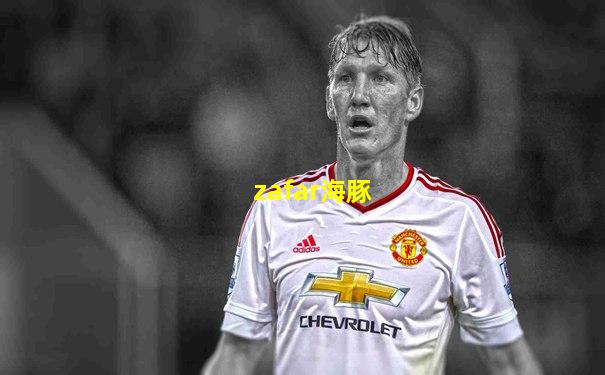 zafar海豚