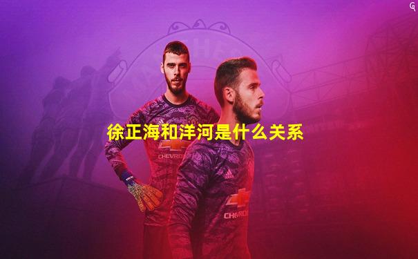 徐正海和洋河是什么关系