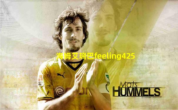 海姆艾瑞巴feeling425
